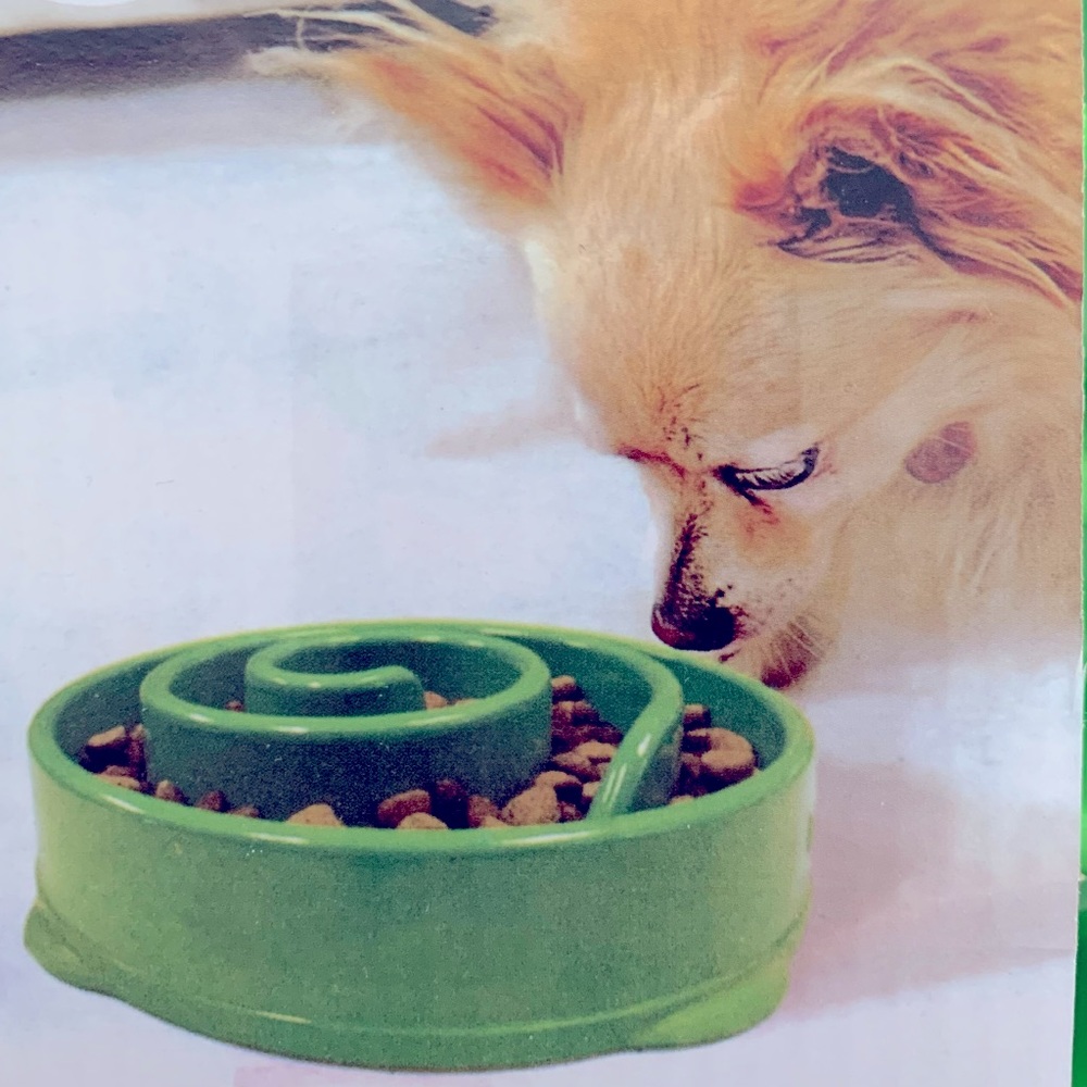 BOWL MINI Play With Your Food Green Bowl Holds 2 Cups